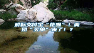 对标支付宝“花呗”!美团“买单”来了!?