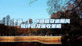 干货 | 小额信贷逾期风险评估及催收策略