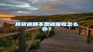 网贷逾期不想被催收怎么办?