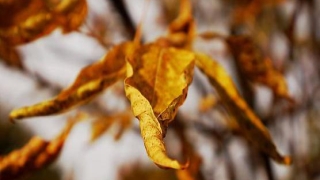 信用卡逾期多久会被起诉？被起诉有什么后果？