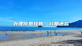 办理停息挂账,分期还款