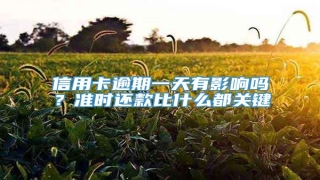 信用卡逾期一天有影响吗?准时还款比什么都关键