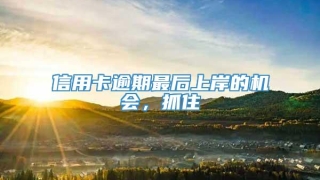 信用卡逾期最后上岸的机会,抓住