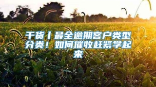 干货丨最全逾期客户类型分类!如何催收赶紧学起来