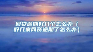 网贷逾期好几个怎么办(好几家网贷逾期了怎么办)