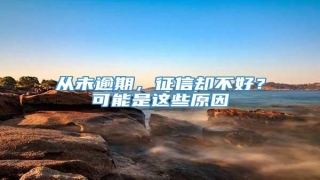 从未逾期,征信却不好?可能是这些原因