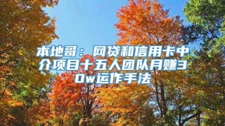 本地哥：网贷和信用卡中介项目十五人团队月赚30w运作手法