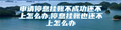 申请停息挂账不成功还不上怎么办,停息挂账也还不上怎么办