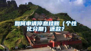 如何申请停息挂账(个性化分期)还款?