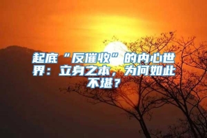 起底“反催收”的内心世界：立身之本，为何如此不堪？