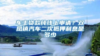 车主贷款纯线上申请?双凤镇汽车二次抵押利息是多少