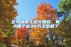 公司以员工名义借款，有人借了近30万之后栽了