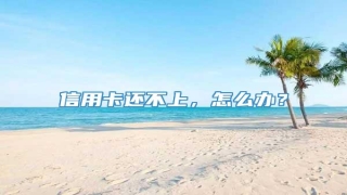 信用卡还不上,怎么办?