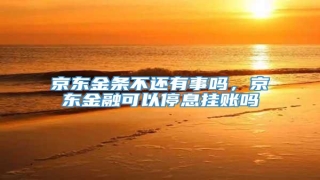 京东金条不还有事吗,京东金融可以停息挂账吗