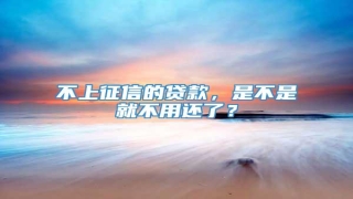 不上征信的贷款,是不是就不用还了?