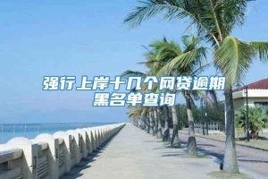 强行上岸十几个网贷逾期黑名单查询