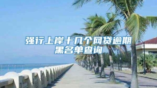 强行上岸十几个网贷逾期黑名单查询