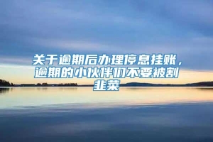 关于逾期后办理停息挂账，逾期的小伙伴们不要被割韭菜