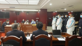 家属共同退赔：一网贷平台挽损比例高！