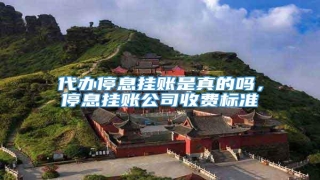代办停息挂账是真的吗,停息挂账公司收费标准