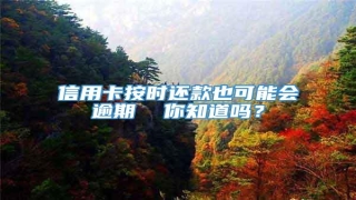 信用卡按时还款也可能会逾期  你知道吗?
