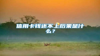 信用卡钱还不上后果是什么?