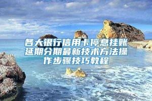 各大银行信用卡停息挂账延期分期最新技术方法操作步骤技巧教程