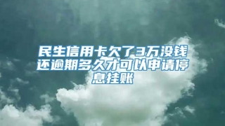 民生信用卡欠了3万没钱还逾期多久才可以申请停息挂账