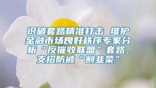 识破套路精准打击 维护金融市场良好秩序专家分析“反催收联盟”套路，支招防被“割韭菜”