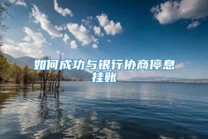 如何成功与银行协商停息挂账