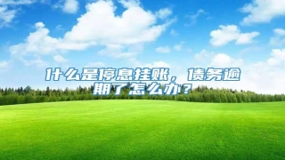 什么是停息挂账,债务逾期了怎么办?