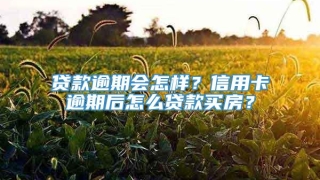贷款逾期会怎样？信用卡逾期后怎么贷款买房？
