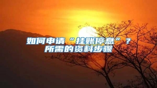 如何申请“挂账停息”?所需的资料步骤