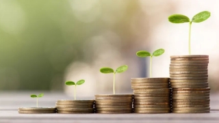 达飞云贷通过征信接入审核,砍掉27家分公司全力催收