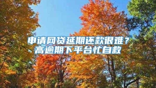 申请网贷延期还款很难？高逾期下平台忙自救