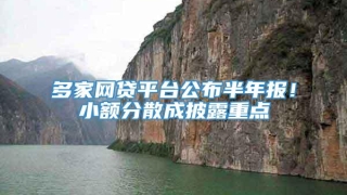 多家网贷平台公布半年报!小额分散成披露重点
