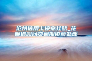 沧州信用卡停息挂账_花呗借呗网贷逾期协商处理