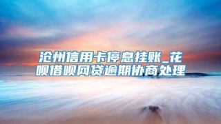 沧州信用卡停息挂账_花呗借呗网贷逾期协商处理