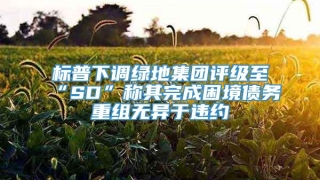 标普下调绿地集团评级至“SD”称其完成困境债务重组无异于违约