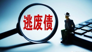 湖北警方向“债闹”黑中介“亮剑”