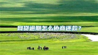 网贷逾期怎么协商还款？