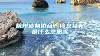 杭州债务协商，停息挂账是什么意思呢