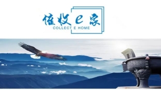 金融机构出招，监管喊话！反催收联盟还能蹦跶多久？