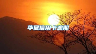华夏信用卡逾期
