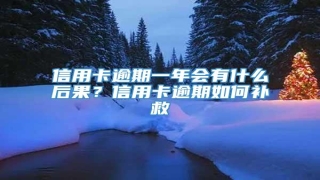 信用卡逾期一年会有什么后果?信用卡逾期如何补救