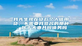 我先生现在贷款个人信用贷,不需要我签名的那种。属于夫妻共同债务吗