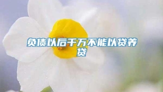负债以后千万不能以贷养贷