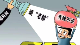 挂网逃废债是什么意思