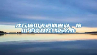 建行信用卡逾期查询,信用卡停息挂账怎么办