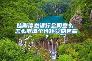 挂账停息银行会同意么，怎么申请个性化分期还款？